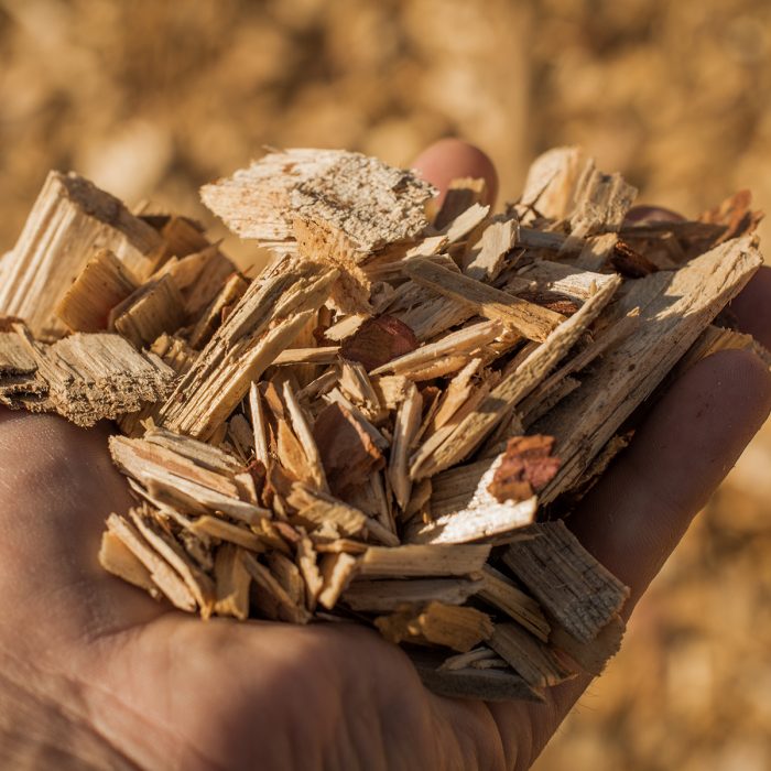 A handful of dry technological wood chips