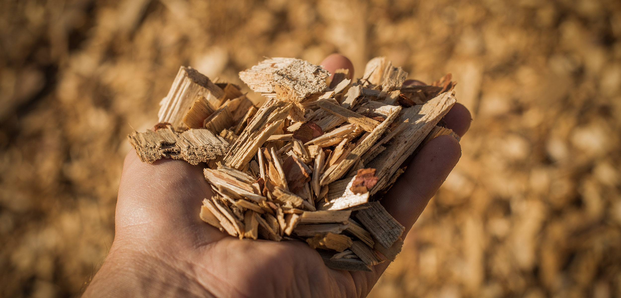A handful of dry technological wood chips