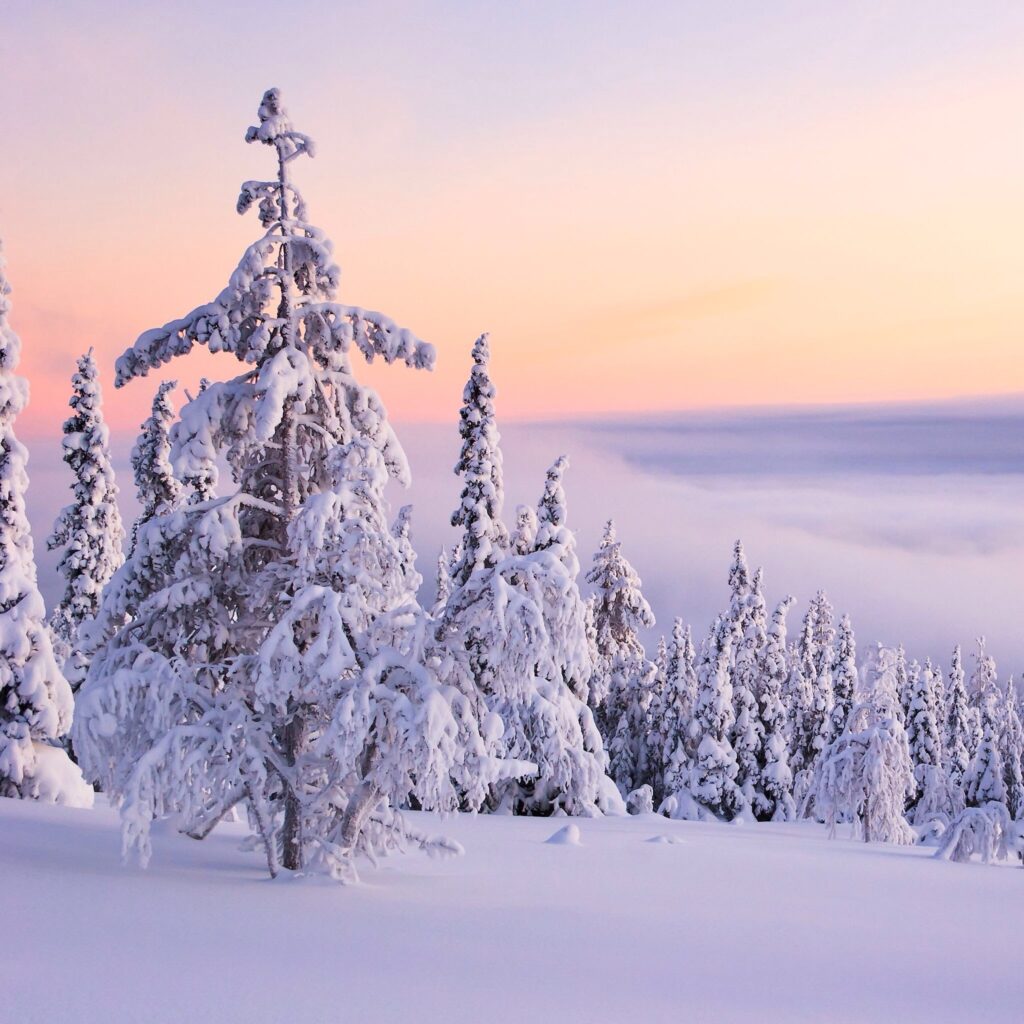 Sälen
